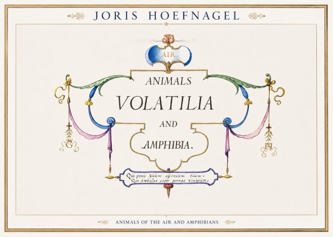 Joris Hoefnagel Animals Volatilia and Amphibia. No1 - Plakat