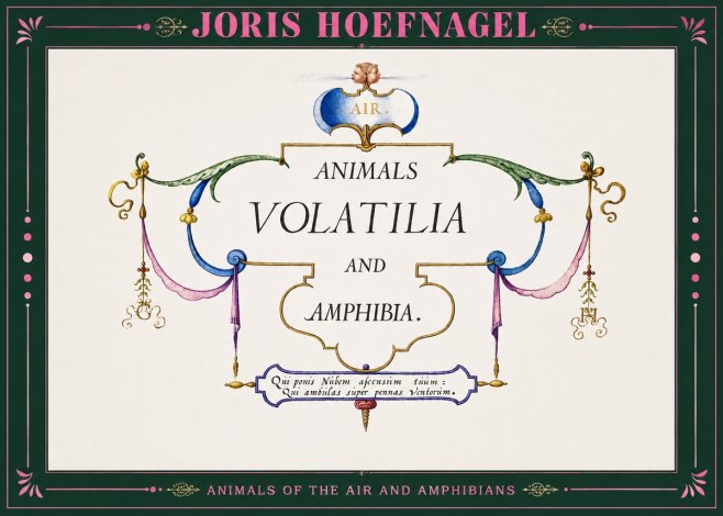 Joris Hoefnagel Animals Volatilia and Amphibia. No2 - Plakat