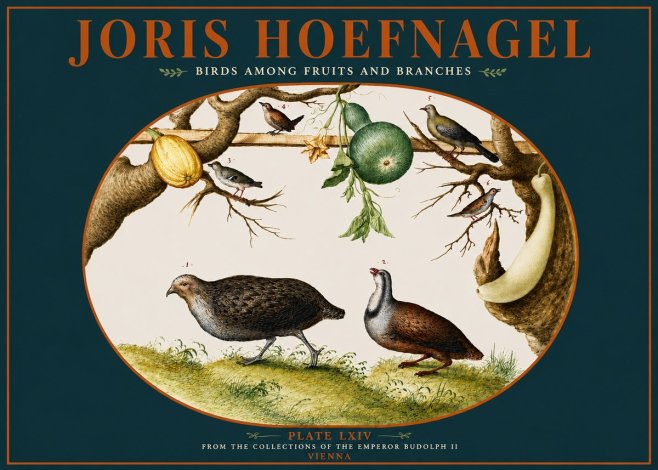 Joris Hoefnagel Birds Among Fruits and Branches No4 - Plakat