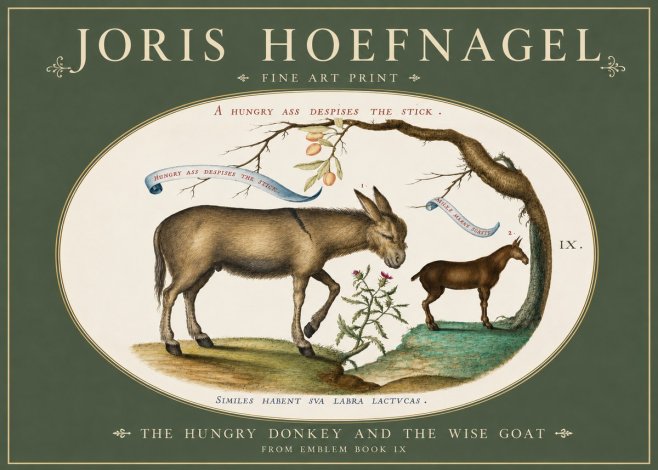 Joris Hoefnagel The Hungry Donkey and the Wise Goat No3 - Plakat