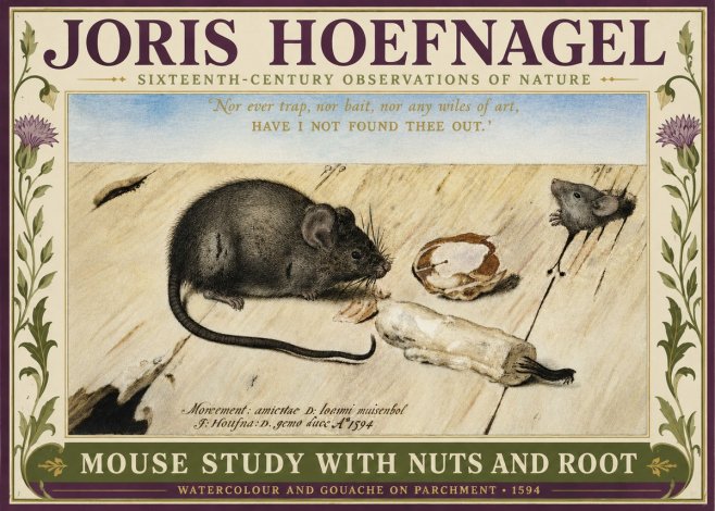 Joris Hoefnagel Mouse Study with Nuts and Root No3 - Plakat
