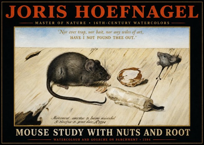 Joris Hoefnagel Mouse Study with Nuts and Root No4 - Plakat