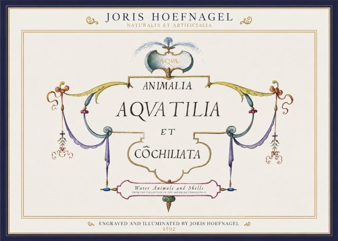 Joris Hoefnagel Animalia Aquatilia Et Cochiliata No1 - Plakat