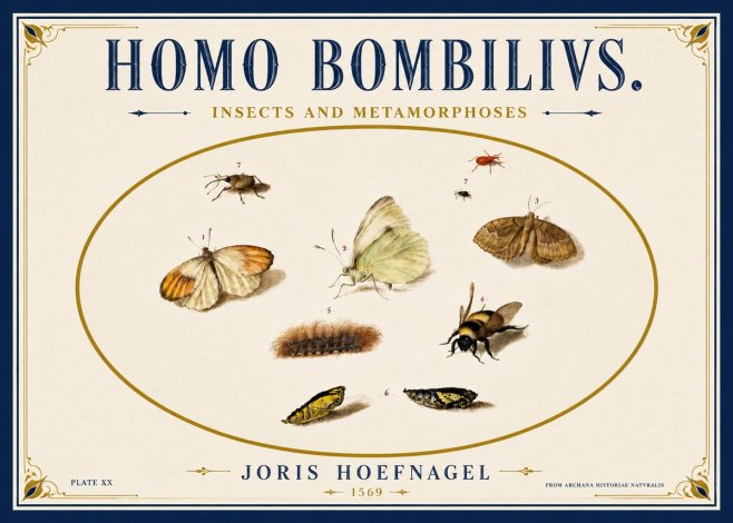 Joris Hoefnagel Homo Bombilivs. Insecta Et Metamorphoses No6 - Plakat