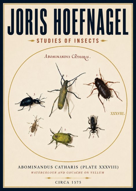 Joris Hoefnagel Abominandus Catharis (Plate Xxxviii) No4 - Plakat