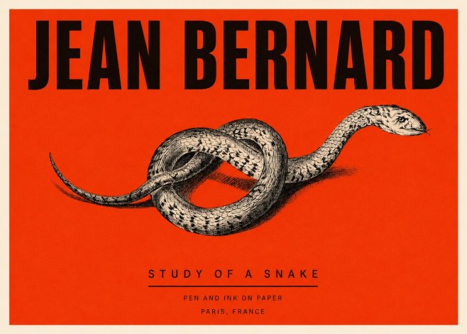 Jean Bernard Study of a Snake No3 - Plakat