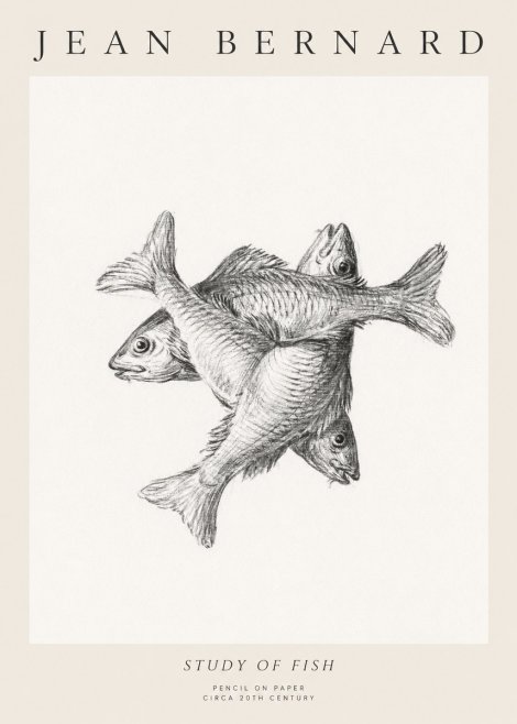 Jean Bernard Study of Fish No1 - Plakat