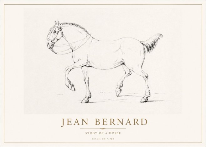 Jean Bernard Study of a Horse XVI No1 - Plakat