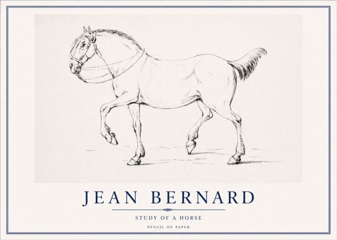 Jean Bernard Study of a Horse XVI No3 - Plakat
