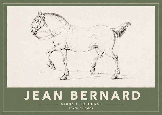 Jean Bernard Study of a Horse XVI No4 - Plakat