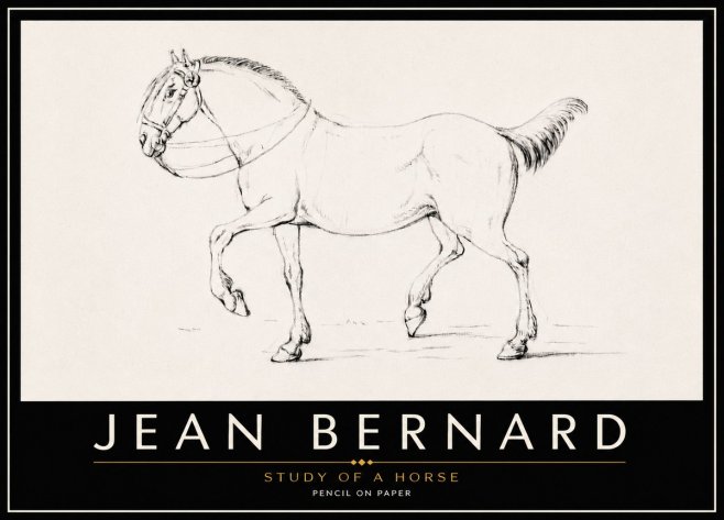 Jean Bernard Study of a Horse XVI No6 - Plakat