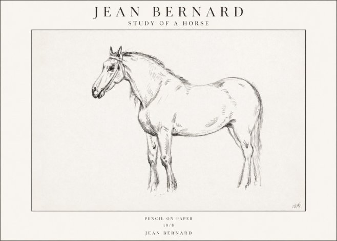 Jean Bernard Study of a Horse XVII No1 - Plakat