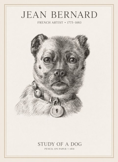 Jean Bernard Study of a Dog IV No1 - Plakat