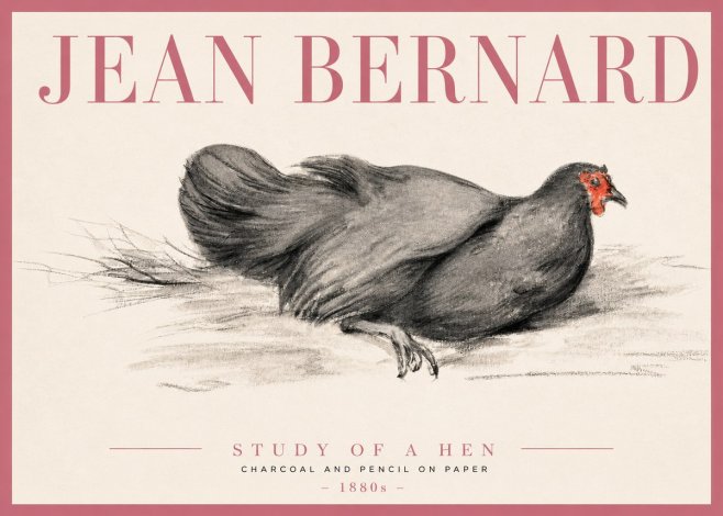 Jean Bernard Study of a Hen No3 - Plakat