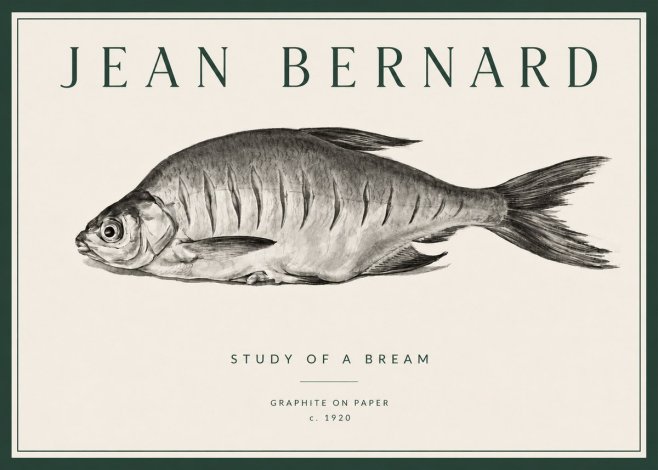 Jean Bernard Study of a Bream No3 - Plakat