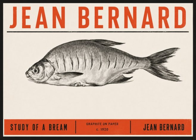 Jean Bernard Study of a Bream No6 - Plakat