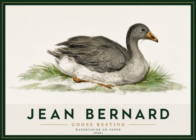Jean Bernard Goose Resting No5 - Plakat