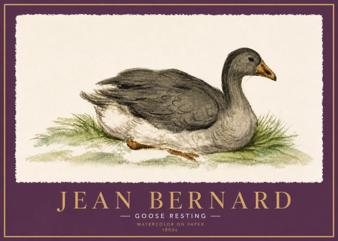 Jean Bernard Goose Resting No6 - Plakat