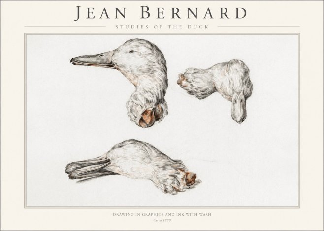 Jean Bernard Studies of the Duck No1 - Plakat