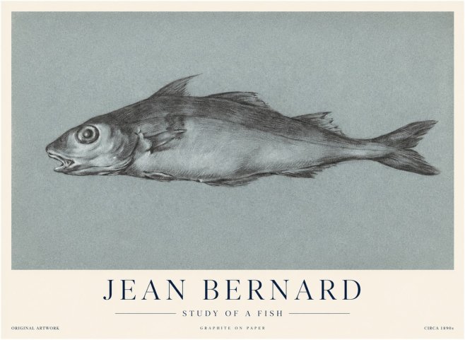Jean Bernard Fish Study I No4 - Plakat
