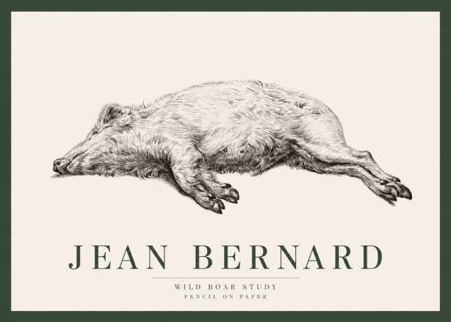 Jean Bernard Wild Boar Study No2 - Plakat