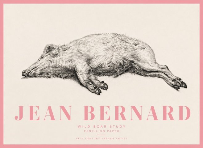 Jean Bernard Wild Boar Study No5 - Plakat