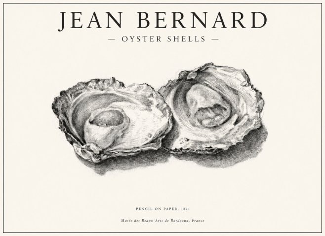 Jean Bernard Study of Oyster Shells No6 - Plakat