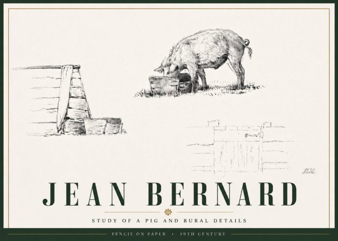 Jean Bernard Pig Study No6 - Plakat