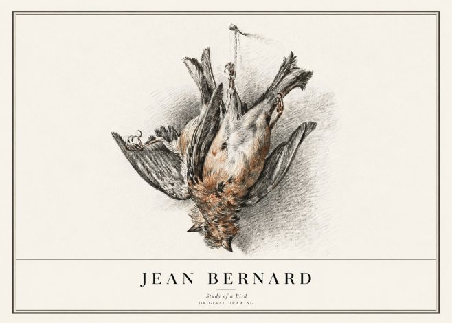 Jean Bernard Study of a Bird IV No1 - Plakat