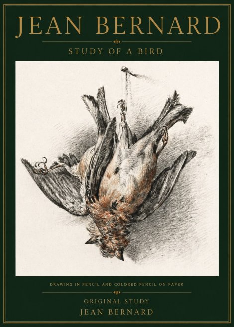 Jean Bernard Study of a Bird IV No5 - Plakat