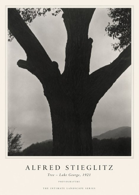 Alfred Stieglitz Tree - Lake George, 1921 No1 - Plakat