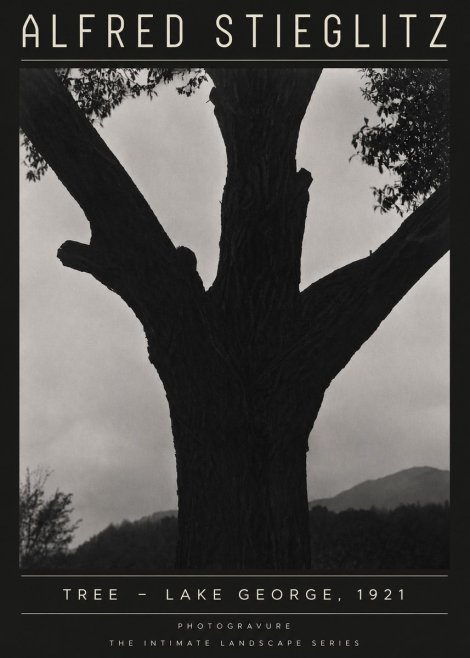 Alfred Stieglitz Tree - Lake George, 1921 No4 - Plakat