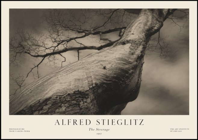 Alfred Stieglitz The Steerage I No1 - Plakat