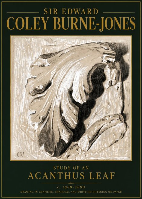 Edward Burne-Jones Study of an Acanthus Leaf No5 - Plakat