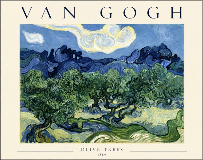 Van Gogh Olive Trees No1 - Plakat