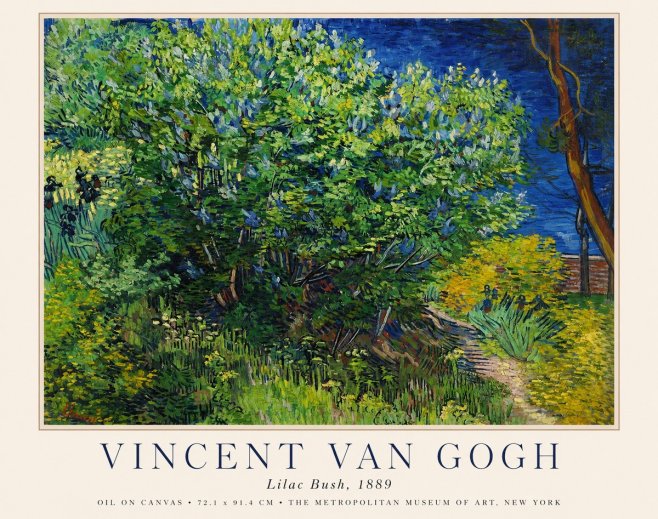 Van Gogh Lilac Bush No1 - Plakat