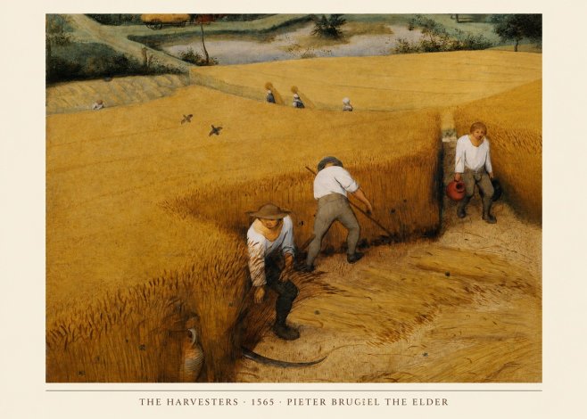 Pieter Bruegel The Harvesters IV No4 - Plakat