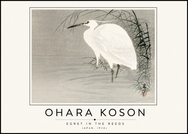 Ohara Koson Egret in the Reeds No6 - Plakat