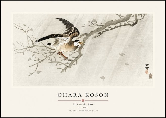 Ohara Koson Bird in the Rain No1 - Plakat