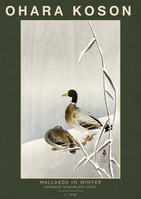 Ohara Koson Mallards in Winter No5 - Plakat