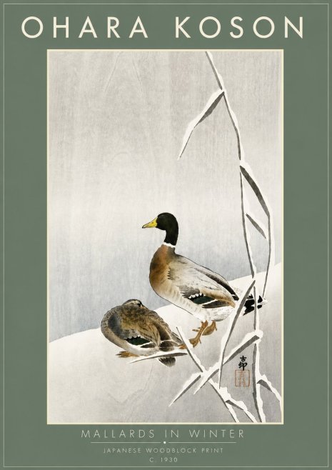 Ohara Koson Mallards in Winter No6 - Plakat