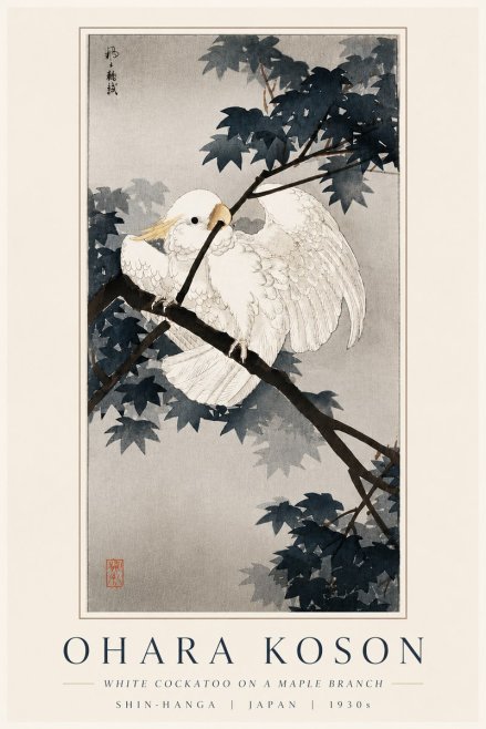 Ohara Koson White Cockatoo on a Maple Branch No6 - Plakat