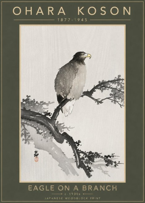 Ohara Koson Eagle on a Branch I No4 - Plakat