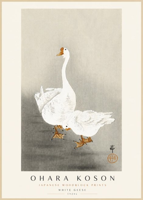 Ohara Koson White Geese No3 - Plakat