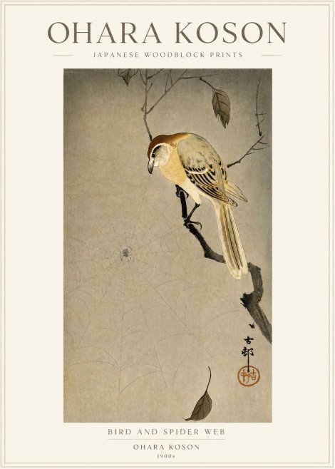 Ohara Koson Bird and Spider Web I No3 - Plakat