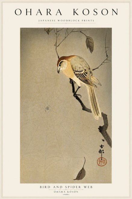 Ohara Koson Bird and Spider Web I No5 - Plakat