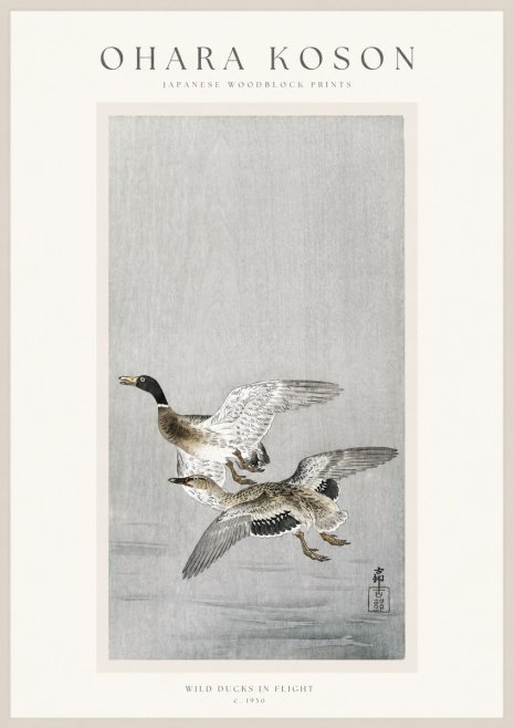 Ohara Koson Wild Ducks in Flight No1 - Plakat