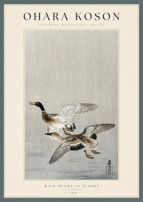 Ohara Koson Wild Ducks in Flight No3 - Plakat