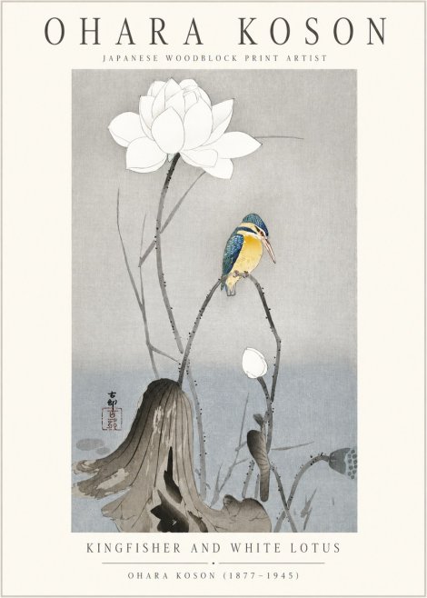 Ohara Koson Kingfisher and White Lotus No1 - Plakat
