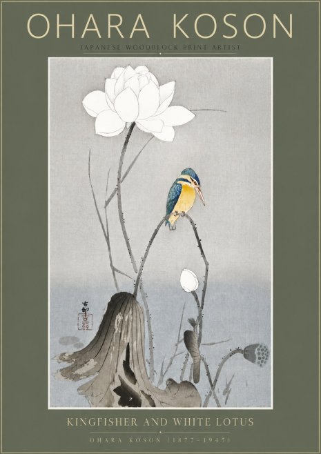 Ohara Koson Kingfisher and White Lotus No5 - Plakat